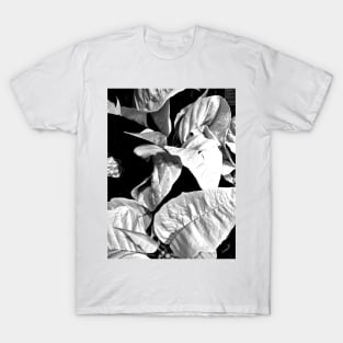 White Poinsettias in Black and White - Merry Christmas - Christmas Gift T-Shirt